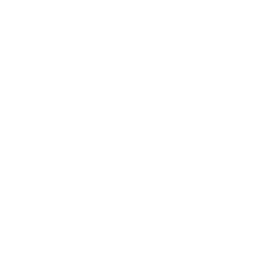ce logo Palatine
