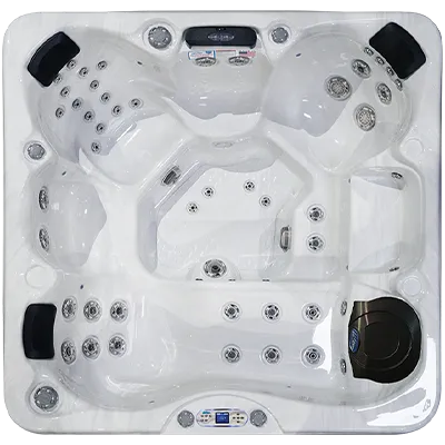 Avalon EC-849L hot tubs for sale in Palatine