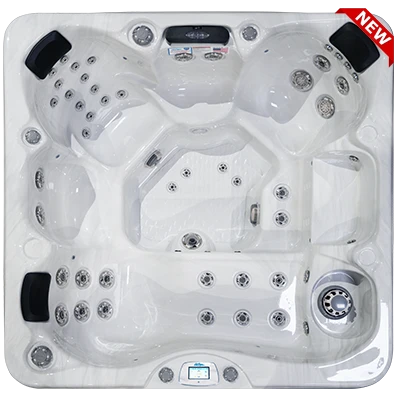 Avalon-X EC-849LX hot tubs for sale in Palatine