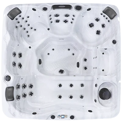 Avalon EC-867L hot tubs for sale in Palatine