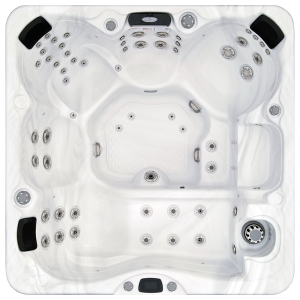 Avalon-X EC-867LX hot tubs for sale in Palatine