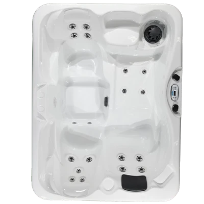 Kona PZ-519L hot tubs for sale in Palatine
